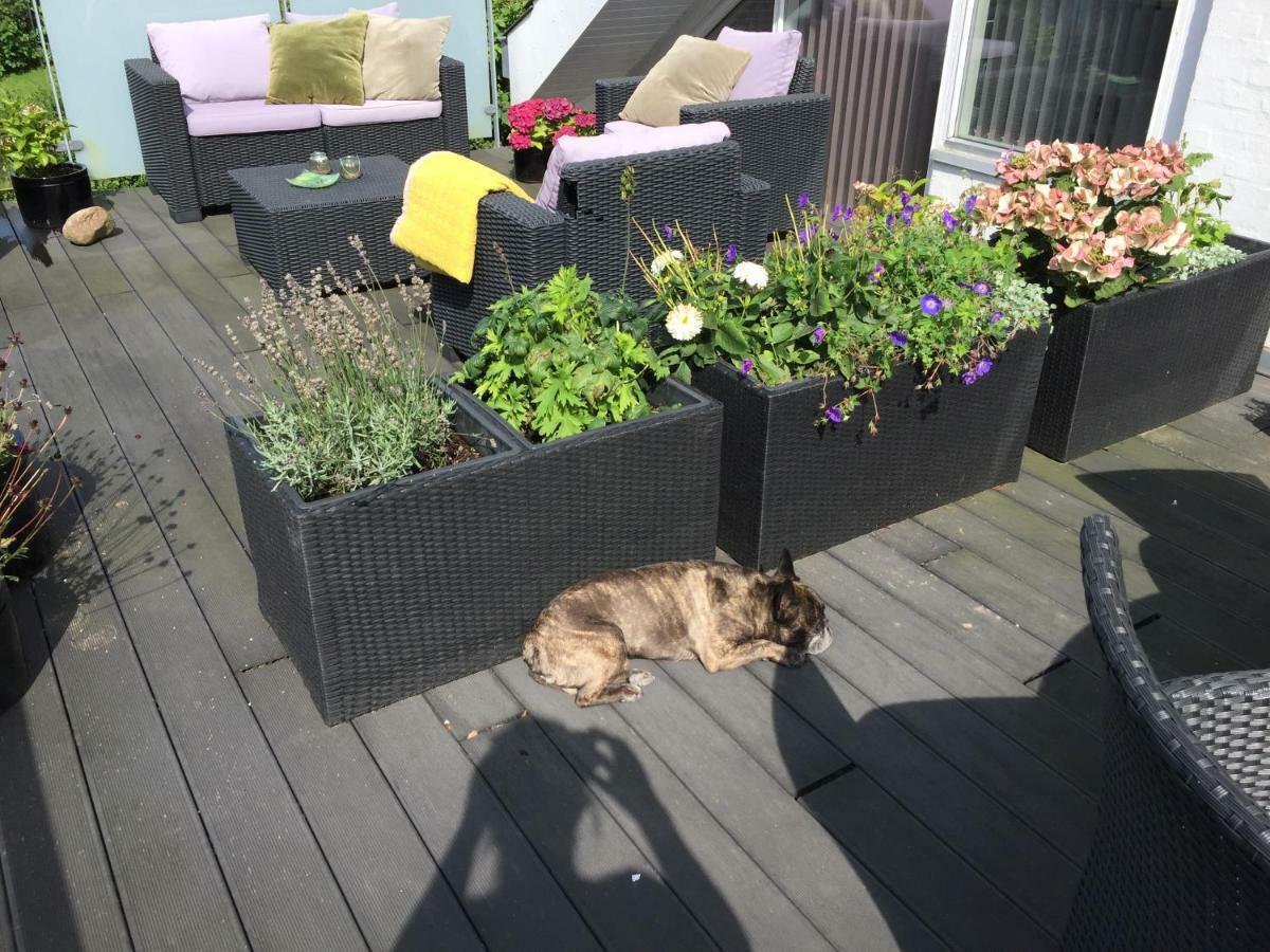 Brondums B & B Hjørring المظهر الخارجي الصورة